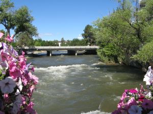Baskets of flowers hanging on a walking bridge frame Reno's Truckee River.